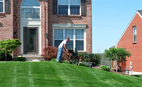 Sprinkle Some Pixie Dust on Your Yard: Magical Lawn Care Insights